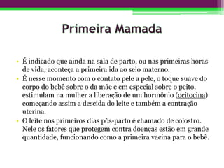 • É indicado que ainda na sala de parto, ou nas primeiras horas
de vida, aconteça a primeira ida ao seio materno.
• É nesse momento com o contato pele a pele, o toque suave do
corpo do bebê sobre o da mãe e em especial sobre o peito,
estimulam na mulher a liberação de um hormônio (ocitocina)
começando assim a descida do leite e também a contração
uterina.
• O leite nos primeiros dias pós-parto é chamado de colostro.
Nele os fatores que protegem contra doenças estão em grande
quantidade, funcionando como a primeira vacina para o bebê.
 