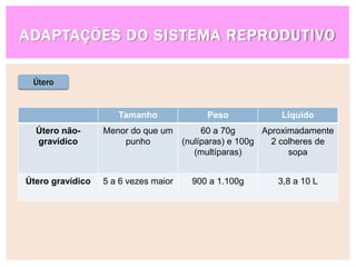 ADAPTAÇÕES DO SISTEMA REPRODUTIVO
Tamanho Peso Líquido
Útero não-
gravídico
Menor do que um
punho
60 a 70g
(nulíparas) e 100g
(multíparas)
Aproximadamente
2 colheres de
sopa
Útero gravídico 5 a 6 vezes maior 900 a 1.100g 3,8 a 10 L
Útero
 