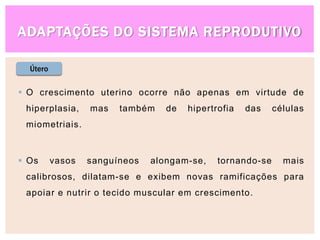 ADAPTAÇÕES DO SISTEMA REPRODUTIVO
 O crescimento uterino ocorre não apenas em virtude de
hiperplasia, mas também de hipertrofia das células
miometriais.
 Os vasos sanguíneos alongam-se, tornando-se mais
calibrosos, dilatam-se e exibem novas ramificações para
apoiar e nutrir o tecido muscular em crescimento.
Útero
 
