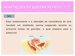ADAPTAÇÕES DO SISTEMA REPRODUTIVO
Útero
 Esse amolecimento e a alteração da consistência do colo
resultam em anteflexão uterina exagerada durante os
primeiros meses de gravidez, a qual colabora para a
polaciúria.
 