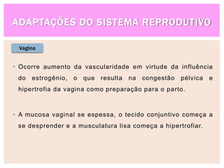 ADAPTAÇÕES DO SISTEMA REPRODUTIVO
Vagina
 Ocorre aumento da vascularidade em virtude da influência
do estrogênio, o que resulta na congestão pélvica e
hipertrofia da vagina como preparação para o parto.
 A mucosa vaginal se espessa, o tecido conjuntivo começa a
se desprender e a musculatura lisa começa a hipertrofiar.
 