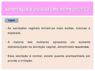 ADAPTAÇÕES DO SISTEMA REPRODUTIVO
Vagina
 As secreções vaginais tornam-se mais ácidas, brancas e
espessas.
 A maioria das mulheres apresenta um aumento
esbranquiçado na secreção vaginal, denominado leucorreia.
 Essa secreção é normal, exceto quando acompanhada por
prurido e irritação.
 