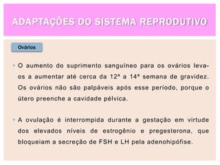 ADAPTAÇÕES DO SISTEMA REPRODUTIVO
Ovários
 O aumento do suprimento sanguíneo para os ovários leva-
os a aumentar até cerca da 12ª a 14ª semana de gravidez.
Os ovários não são palpáveis após esse período, porque o
útero preenche a cavidade pélvica.
 A ovulação é interrompida durante a gestação em virtude
dos elevados níveis de estrogênio e pregesterona, que
bloqueiam a secreção de FSH e LH pela adenohipófise.
 