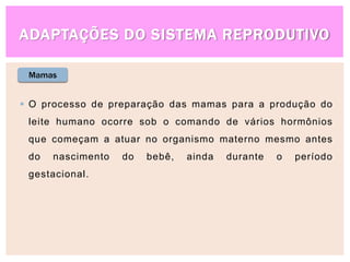 ADAPTAÇÕES DO SISTEMA REPRODUTIVO
Mamas
 O processo de preparação das mamas para a produção do
leite humano ocorre sob o comando de vários hormônios
que começam a atuar no organismo materno mesmo antes
do nascimento do bebê, ainda durante o período
gestacional.
 