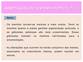 ADAPTAÇÕES DO SISTEMA REPRODUTIVO
Mamas
 Os mamilos tornam-se maiores e mais eretos. Tanto os
mamilos quanto a aréola ganham pigmentação profunda, e
as glândulas sebáceas são mais proeminentes. Essas
glândulas mantém os mamilos lubrificados para a
amamentação.
 As alterações que ocorrem no tecido conjuntivo das mamas,
associados ao crescimento intenso, podem resultar em
estrias.
 