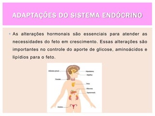 ADAPTAÇÕES DO SISTEMA ENDÓCRINO
 As alterações hormonais são essenciais para atender as
necessidades do feto em crescimento. Essas alterações são
importantes no controle do aporte de glicose, aminoácidos e
lipídios para o feto.
 