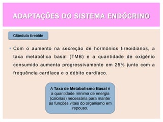 ADAPTAÇÕES DO SISTEMA ENDÓCRINO
Glândula tireóide
 Com o aumento na secreção de hormônios tireoidianos, a
taxa metabólica basal (TMB) e a quantidade de oxigênio
consumido aumenta progressivamente em 25% junto com a
frequência cardíaca e o débito cardíaco.
A Taxa de Metabolismo Basal é
a quantidade mínima de energia
(calorias) necessária para manter
as funções vitais do organismo em
repouso.
 