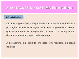 ADAPTAÇÕES DO SISTEMA ENDÓCRINO
Glândula Hipófise
 Durante a gestação, a capacidade da prolactina de induzir a
produção de leite é antagonizada pela progesterona. Assim
que a placenta se desprende do útero, o antagonismo
desaparece e a lactação pode começar.
 A prolacatina é produzida em jatos, em resposta a sucção
do bebê.
 