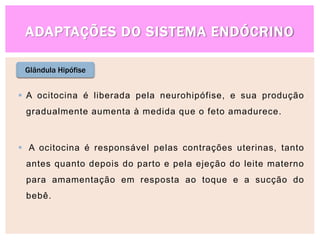 ADAPTAÇÕES DO SISTEMA ENDÓCRINO
Glândula Hipófise
 A ocitocina é liberada pela neurohipófise, e sua produção
gradualmente aumenta à medida que o feto amadurece.
 A ocitocina é responsável pelas contrações uterinas, tanto
antes quanto depois do parto e pela ejeção do leite materno
para amamentação em resposta ao toque e a sucção do
bebê.
 