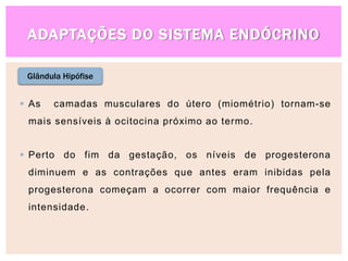 ADAPTAÇÕES DO SISTEMA ENDÓCRINO
Glândula Hipófise
 As camadas musculares do útero (miométrio) tornam-se
mais sensíveis à ocitocina próximo ao termo.
 Perto do fim da gestação, os níveis de progesterona
diminuem e as contrações que antes eram inibidas pela
progesterona começam a ocorrer com maior frequência e
intensidade.
 