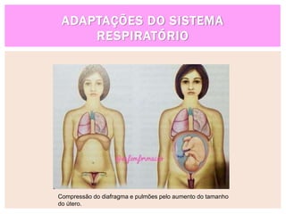 ADAPTAÇÕES DO SISTEMA
RESPIRATÓRIO
Compressão do diafragma e pulmões pelo aumento do tamanho
do útero.
 