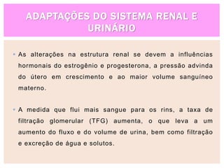 ADAPTAÇÕES DO SISTEMA RENAL E
URINÁRIO
 As alterações na estrutura renal se devem a influências
hormonais do estrogênio e progesterona, a pressão advinda
do útero em crescimento e ao maior volume sanguíneo
materno.
 A medida que flui mais sangue para os rins, a taxa de
filtração glomerular (TFG) aumenta, o que leva a um
aumento do fluxo e do volume de urina, bem como filtração
e excreção de água e solutos.
 