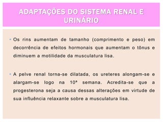 ADAPTAÇÕES DO SISTEMA RENAL E
URINÁRIO
 Os rins aumentam de tamanho (comprimento e peso) em
decorrência de efeitos hormonais que aumentam o tônus e
diminuem a motilidade da musculatura lisa.
 A pelve renal torna-se dilatada, os ureteres alongam-se e
alargam-se logo na 10ª semana. Acredita-se que a
progesterona seja a causa dessas alterações em virtude de
sua influência relaxante sobre a musculatura lisa.
 