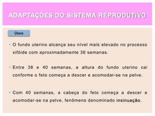 ADAPTAÇÕES DO SISTEMA REPRODUTIVO
Útero
 O fundo uterino alcança seu nível mais elevado no processo
xifóide com aproximadamente 36 semanas.
 Entre 38 e 40 semanas, a altura do fundo uterino cai
conforme o feto começa a descer e acomodar-se na pelve.
 Com 40 semanas, a cabeça do feto começa a descer e
acomodar-se na pelve, fenômeno denominado insinuação.
 