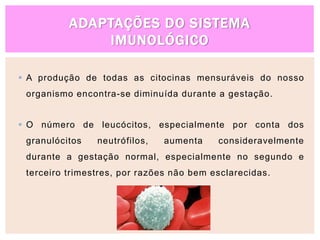 ADAPTAÇÕES DO SISTEMA
IMUNOLÓGICO
 A produção de todas as citocinas mensuráveis do nosso
organismo encontra-se diminuída durante a gestação.
 O número de leucócitos, especialmente por conta dos
granulócitos neutrófilos, aumenta consideravelmente
durante a gestação normal, especialmente no segundo e
terceiro trimestres, por razões não bem esclarecidas.
 