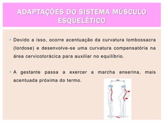 ADAPTAÇÕES DO SISTEMA MÚSCULO
ESQUELÉTICO
 Devido a isso, ocorre acentuação da curvatura lombossacra
(lordose) e desenvolve-se uma curvatura compensatória na
área cervicotorácica para auxiliar no equilíbrio.
 A gestante passa a exercer a marcha anserina, mais
acentuada próxima do termo.
 