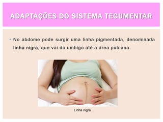 ADAPTAÇÕES DO SISTEMA TEGUMENTAR
 No abdome pode surgir uma linha pigmentada, denominada
linha nigra, que vai do umbigo até a área pubiana.
Linha nigra
 