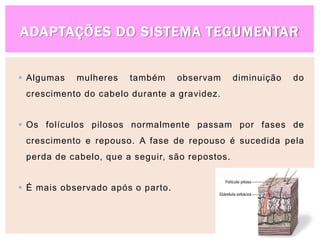 ADAPTAÇÕES DO SISTEMA TEGUMENTAR
 Algumas mulheres também observam diminuição do
crescimento do cabelo durante a gravidez.
 Os folículos pilosos normalmente passam por fases de
crescimento e repouso. A fase de repouso é sucedida pela
perda de cabelo, que a seguir, são repostos.
 É mais observado após o parto.
 