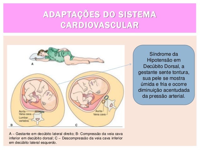 Alterações físicas da gravidez