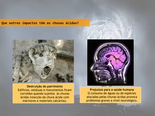 Que outros impactos têm as chuvas ácidas?

Destruição do património
Edifícios, estátuas e monumentos ficam
corroídos quando sujeitos às chuvas
ácidas (reacção da chuva ácida com
mármores e materiais calcários).

Prejuízos para a saúde humana
O consumo de águas ou de espécies
atacadas pelas chuvas ácidas provoca
problemas graves a nível neurológico.

 