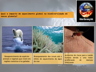 Qual o impacto do aquecimento global na biodiversidade do
nosso planeta?

Desaparecimento de espécies
animais e vegetais que vivem em
regiões costeiras e/ou geladas

Branqueamento dos corais sob o
efeito do aquecimento da água
do mar

Acréscimo de riscos para a saúde
humana devido a uma maior
proliferação
de
doenças
infecciosas

 