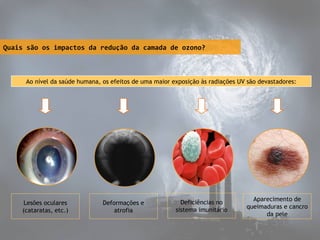 Quais são os impactos da redução da camada de ozono?

Ao nível da saúde humana, os efeitos de uma maior exposição às radiações UV são devastadores:

Lesões oculares
(cataratas, etc.)

Deformações e
atrofia

Deficiências no
sistema imunitário

Aparecimento de
queimaduras e cancro
da pele

 