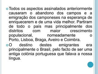  Todos  os aspectos assinalados anteriormente
 causaram o abandono dos campos e a
 emigração dos camponeses na esperança de
 enriquecerem e de uma vida melhor. Partiram
 de todo o país mas principalmente dos
 distritos      com     maior       crescimento
 populacional,         nomeadamente            o
 Porto, Lisboa, Braga, Aveiro e Coimbra.
O      destino    destes    emigrantes      era
 principalmente o Brasil, pelo facto de ser uma
 antiga colónia portuguesa que falava a nossa
 língua.
 