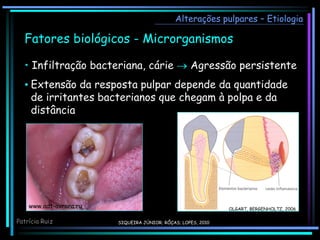 Alterações pulpares – Etiologia
Fatores biológicos - Microrganismos
• Infiltração bacteriana, cárie  Agressão persistente
• Extensão da resposta pulpar depende da quantidade
de irritantes bacterianos que chegam à polpa e da
distância
www.adt-avrora.ru OLGART, BERGENHOLTZ, 2006
Patrícia Ruiz SIQUEIRA JÚNIOR; RÔÇAS; LOPES, 2010
 