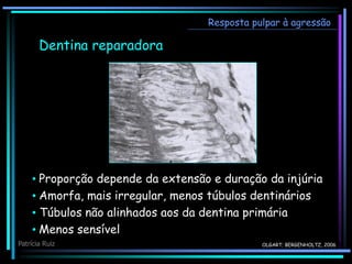 • Proporção depende da extensão e duração da injúria
• Amorfa, mais irregular, menos túbulos dentinários
• Túbulos não alinhados aos da dentina primária
• Menos sensível
OLGART; BERGENHOLTZ, 2006
Resposta pulpar à agressão
Dentina reparadora
Patrícia Ruiz
 