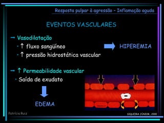 Resposta pulpar à agressão – Inflamação aguda
EVENTOS VASCULARES
SIQUEIRA JÚNIOR., 2000
Patrícia Ruiz
HIPEREMIA
 Vasodilatação
•  fluxo sangüíneo
•  pressão hidrostática vascular
  Permeabilidade vascular
• Saída de exudato
EDEMA
 