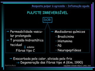 PULPITE IRREVERSÍVEL
Resposta pulpar à agressão – Inflamação aguda
DOR
 Exacerbada pelo calor, aliviada pelo frio
 Degeneração das fibras tipo A (Kim, 1990)
 Mediadores químicos
• Bradicinina
• Histamina
• PG
• Neuropeptídeos
 Permeabilidade vascu-
lar prolongada
  pressão hidrostática
tecidual
Fibras tipo C
edema

Patrícia Ruiz SIQUEIRA JÚNIOR; RÔÇAS; LOPES, 2010
 