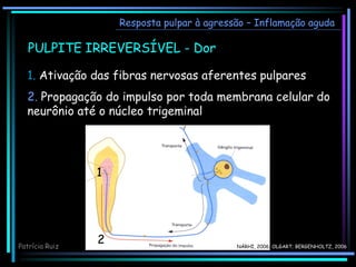 Resposta pulpar à agressão – Inflamação aguda
PULPITE IRREVERSÍVEL - Dor
1. Ativação das fibras nervosas aferentes pulpares
2. Propagação do impulso por toda membrana celular do
neurônio até o núcleo trigeminal
1
2 NÄRHI, 2006; OLGART; BERGENHOLTZ, 2006
Patrícia Ruiz
 
