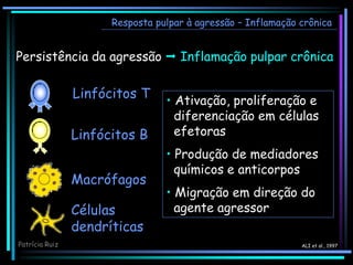 Linfócitos T
Linfócitos B
Células
dendríticas
Macrófagos
ALI et al., 1997
Patrícia Ruiz
Persistência da agressão  Inflamação pulpar crônica
• Ativação, proliferação e
diferenciação em células
efetoras
• Produção de mediadores
químicos e anticorpos
• Migração em direção do
agente agressor
Resposta pulpar à agressão – Inflamação crônica
 