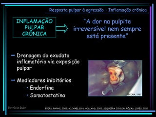 “A dor na pulpite
irreversível nem sempre
está presente”
 Drenagem do exudato
inflamatório via exposição
pulpar
PÉCORA, 1997
BYERS; NÄRHI, 2002; MICHAELSON; HOLLAND, 2002; SIQUEIRA JÚNIOR; RÔÇAS; LOPES, 2010
INFLAMAÇÃO
PULPAR
CRÔNICA
Resposta pulpar à agressão – Inflamação crônica
 Mediadores inibitórios
• Endorfina
• Somatostatina
Patrícia Ruiz
 
