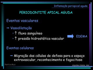 SIQUEIRA JÚNIOR., 2000
Inflamação periapical aguda
Patrícia Ruiz
Eventos vasculares
 Vasodilatação
•  fluxo sanguíneo
•  pressão hidrostática vascular
PERIODONTITE APICAL AGUDA
EDEMA
Eventos celulares
 Migração das células de defesa para o espaço
extravascular, reconhecimento e fagocitose
 