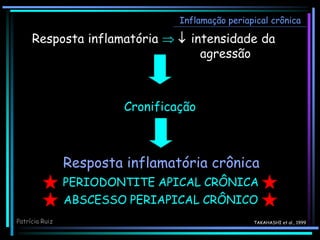 Resposta inflamatória   intensidade da
agressão
Cronificação
Inflamação periapical crônica
TAKAHASHI et al., 1999
Patrícia Ruiz
Resposta inflamatória crônica
PERIODONTITE APICAL CRÔNICA
ABSCESSO PERIAPICAL CRÔNICO
 