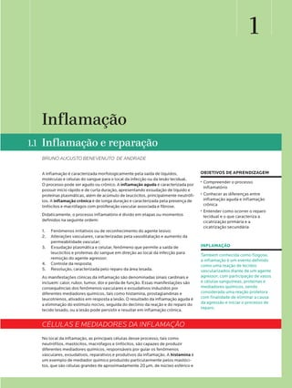 1
OBJETIVOS DE APRENDIZAGEM
• Compreender o processo
inflamatório
• Conhecer as diferenças entre
inflamação aguda e inflam...