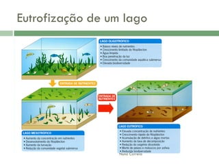 AlteraçãO Da Qualidade Da áGua
