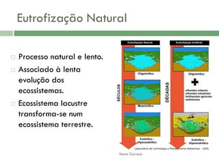 AlteraçãO Da Qualidade Da áGua