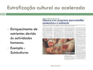 AlteraçãO Da Qualidade Da áGua