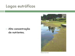 AlteraçãO Da Qualidade Da áGua