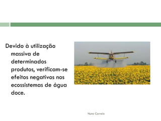 AlteraçãO Da Qualidade Da áGua