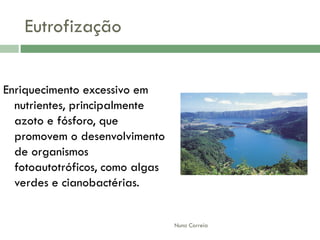 AlteraçãO Da Qualidade Da áGua