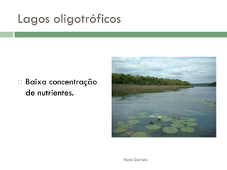 AlteraçãO Da Qualidade Da áGua