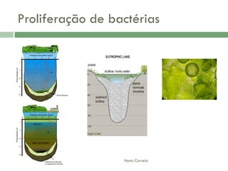 AlteraçãO Da Qualidade Da áGua
