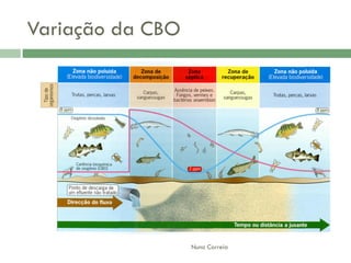 AlteraçãO Da Qualidade Da áGua