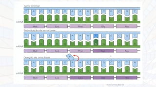 Nuno Correia 2015-16
 