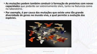 Nuno Correia 2015-16
• As mutações podem também conduzir à formação de proteínas com novas
capacidades que poderão ser extremamente úteis, tanto na Natureza como
no laboratório.
• Por exemplo, é por causa das mutações que existe uma tão grande
diversidade de genes no mundo vivo, a qual permite a evolução das
espécies.
 