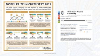Nuno Correia 2015-16
 