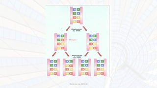 Nuno Correia 2015-16
 